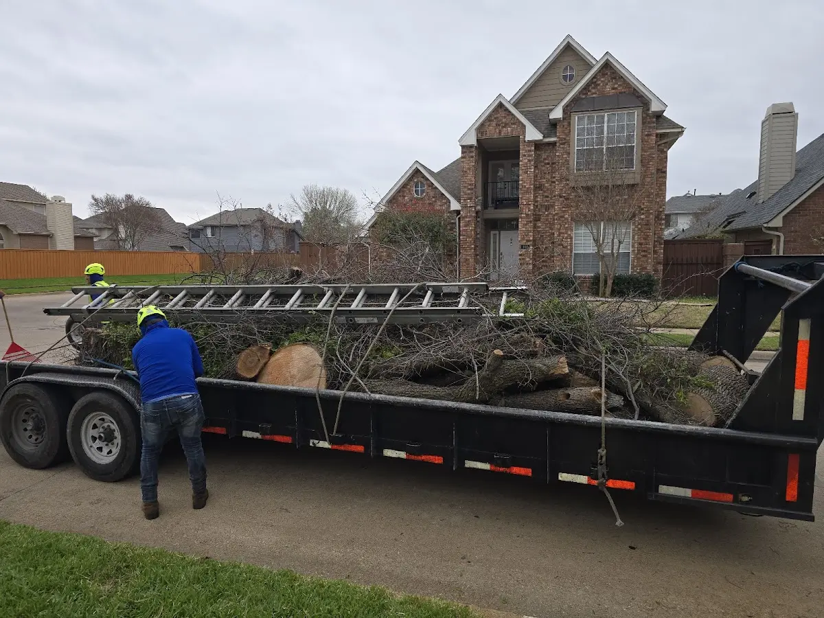 Expert Tree Fertilization with proper safety equipment in Rockaway